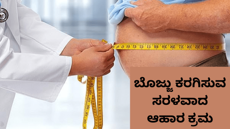 Obesity Diet Chart :ಇಷ್ಟು ಸುಲಭವಾಗಿ ಬೊಜ್ಜು ಕರಗಿಸಬಹುದೇ? ಬೊಜ್ಜು ಕರಗಿಸುವ ಸರಳವಾದ ಆಹಾರ ಕ್ರಮ