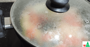 Palak Paneer Recipe