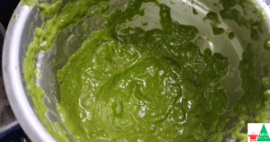 Palak Paneer Recipe