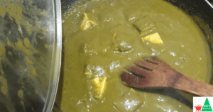 Palak Paneer Recipe
