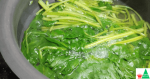 Palak Paneer Recipe