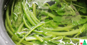 Palak Paneer Recipe