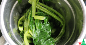Palak Paneer Recipe